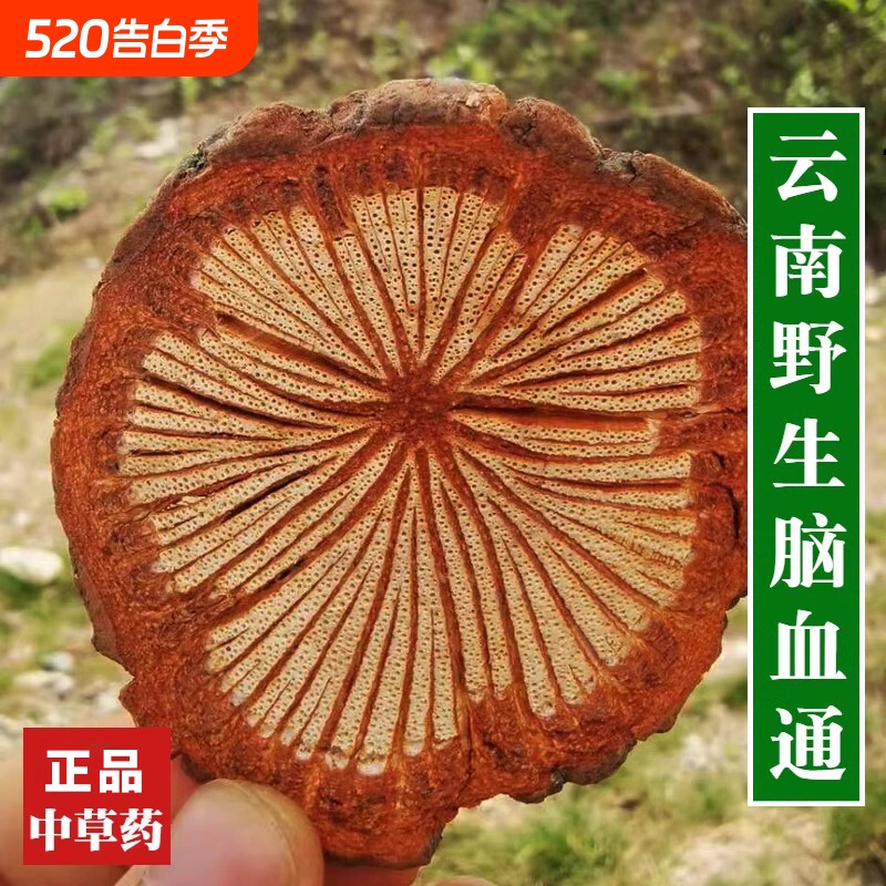野生脑血通中药材正品血通片云南老树大血藤血塞通泡酒泡茶红藤片