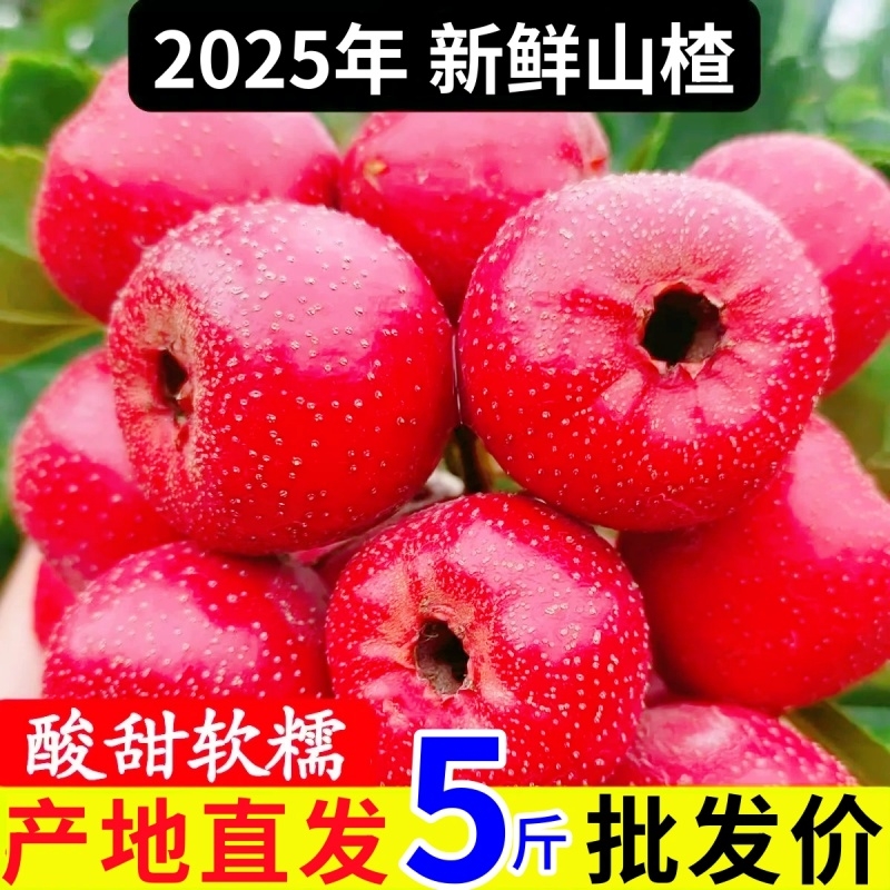 产地直发新鲜山楂糖葫芦山楂罐头