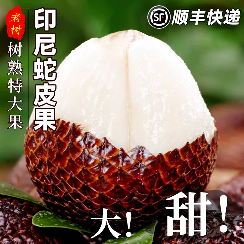 印尼进口蛇皮果包邮罕见热带新鲜水果应当季时令小众稀奇整箱顺丰,水产肉类/新鲜蔬果/熟食,其它,淘宝优惠券,粉丝福利购,淘宝优惠卷