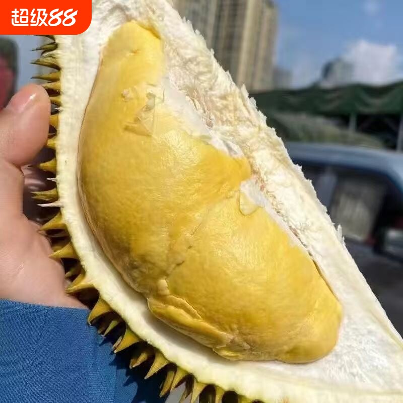 泰国进口正宗金枕榴莲A果树熟榴莲干包软糯整箱顺丰包邮新鲜果肉