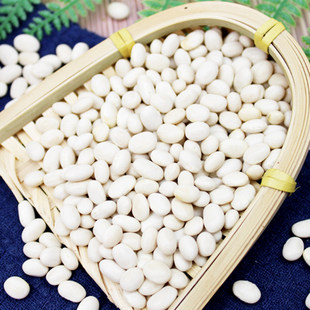 云南小白豆珍珠豆小白豆炖菜煲汤农家小白芸豆小雪豆豆类杂粮