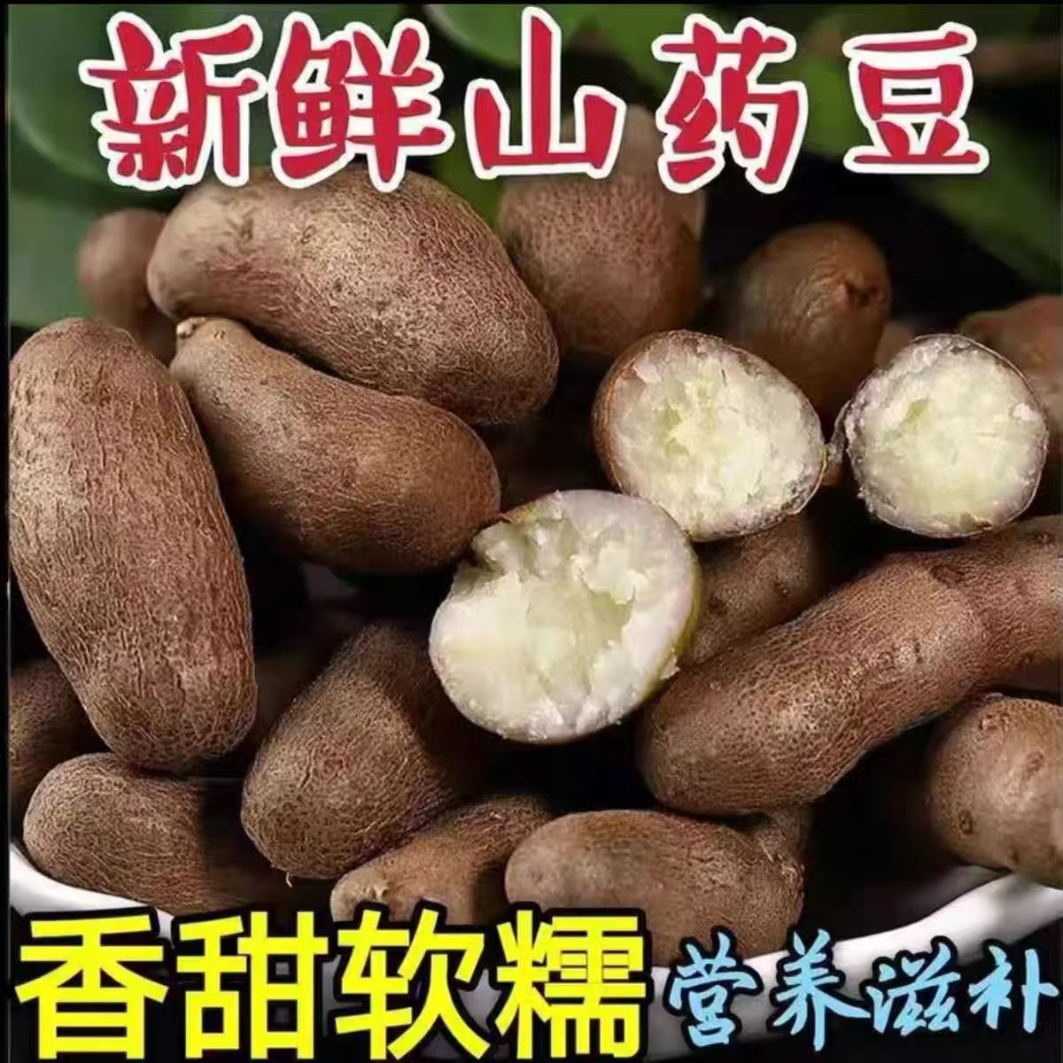 蠡县山药豆河北特产农家种植铁棍山药豆自产自销新鲜采摘粉糯包邮