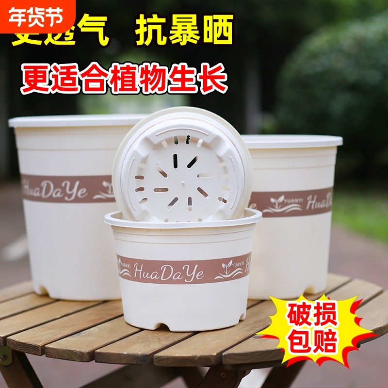 简约圆形树脂三代白色加仑盆透气养根不闷根大容量多孔排水带托盘,鲜花速递/花卉仿真/绿植园艺,花盆,淘宝优惠券,粉丝福利购,淘宝优惠卷