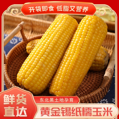 东北黄糯玉米整箱10根大棒280G粘苞米甜糯低脂早餐玉米棒真空装