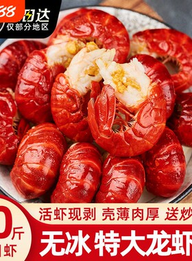 液氮龙虾尾特大号无冰鲜活冷冻生鲜新鲜虾球批发商用水产衣小龙虾