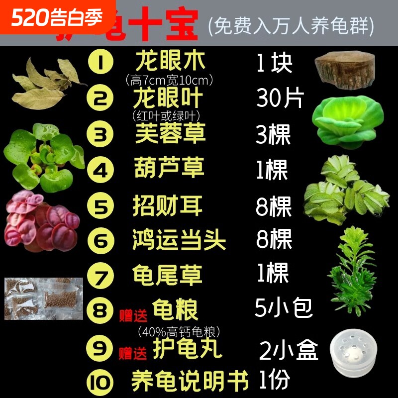 养龟专用绿植水草植物摆件晒台乌龟躲避屋龙眼木龟缸造景客厅净水