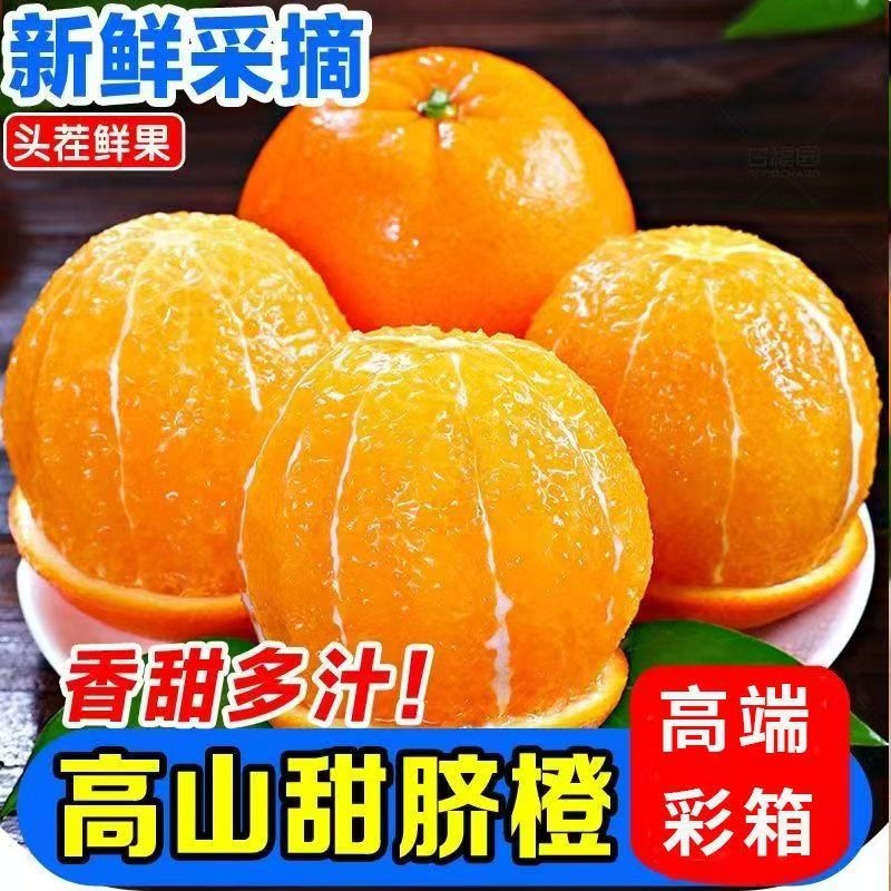 正宗纽荷尔甜脐橙薄皮新鲜现摘秭归脐橙当季孕妇水果鲜橙子多规格