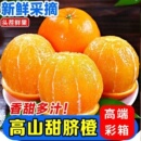 正宗湖北纽荷尔脐橙净重4.5斤