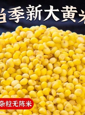 云南农家黄大米新米小米粥养胃五谷杂粮批发香甜软糯优质当季新鲜