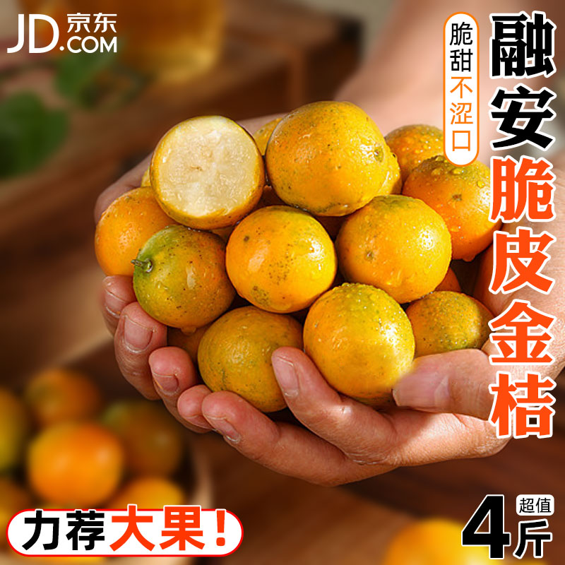 广西脆皮金桔新鲜水果桔子当季现摘甜蜜小金柑桔金橘融安京东包邮