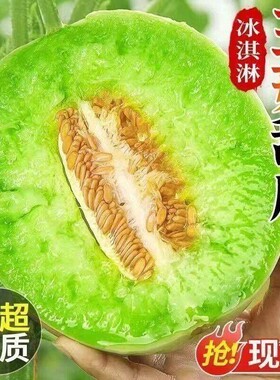 海南冰淇淋玉菇甜瓜9斤新鲜水果当季整箱包邮小香瓜蜜瓜现摘现发