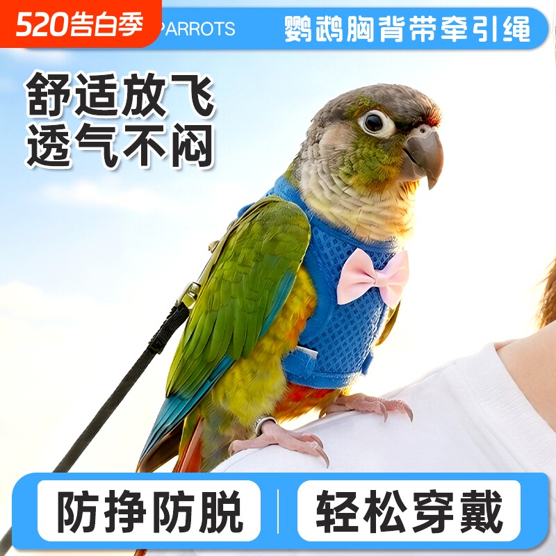 鹦鹉衣服牵引防丢飞行服超轻遛鸟神器外出背带玄凤虎皮牡丹放飞绳