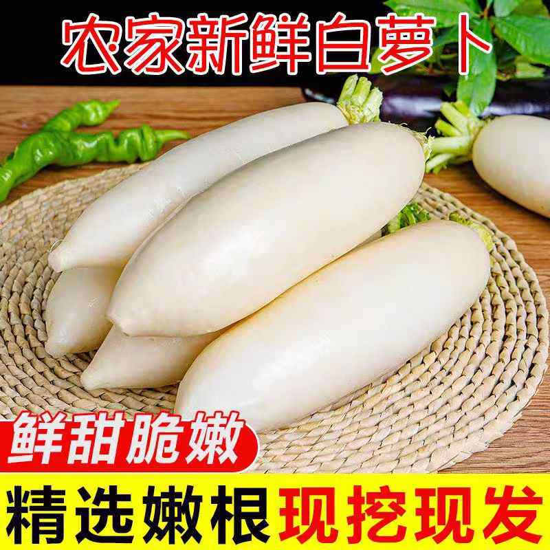 山东现挖水果大个白萝卜新鲜蔬菜农家辛辣甜青罗卜胡萝卜当季,水产肉类/新鲜蔬果/熟食,萝卜/胡萝卜,淘宝优惠券,粉丝福利购,淘宝优惠卷