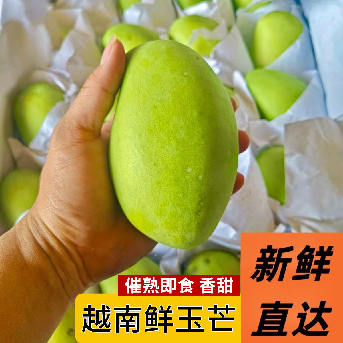 越南玉芒多汁特级大青芒果新鲜应季水果非金煌芒水仙芒多规格发货