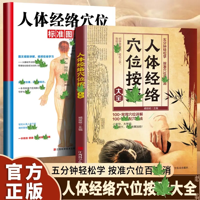 人体经络穴位按摩大全人体经络穴位标准图册正版书籍准确找经络穴位按摩家庭实用养生图解手法推拿按摩手册人体经络穴位图解书籍