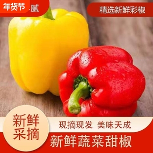 新鲜生吃水果甜椒新鲜直发红黄五彩椒柿子椒灯笼椒太空椒新鲜脆甜