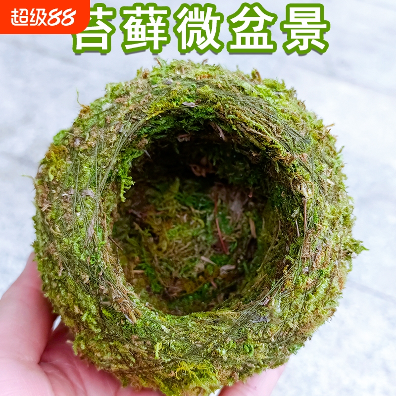 新型植物盆透气