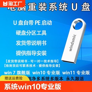 windsmicwin10系统u盘重装win11专业版pe启动win7旗舰版装机网络