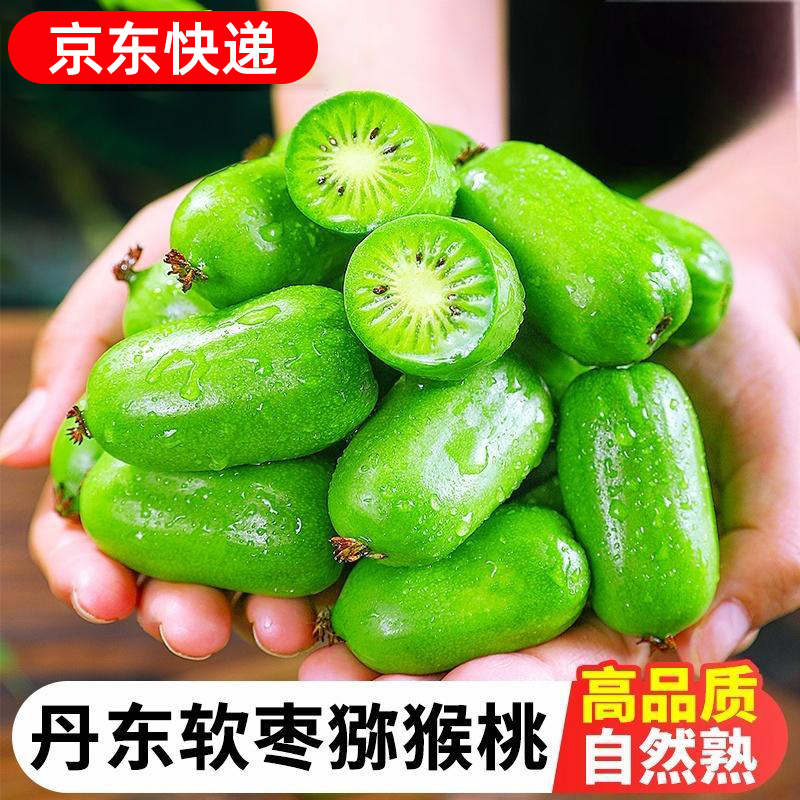 丹东软枣猕猴桃礼盒东北软枣子圆枣子水果当季奇异莓现摘