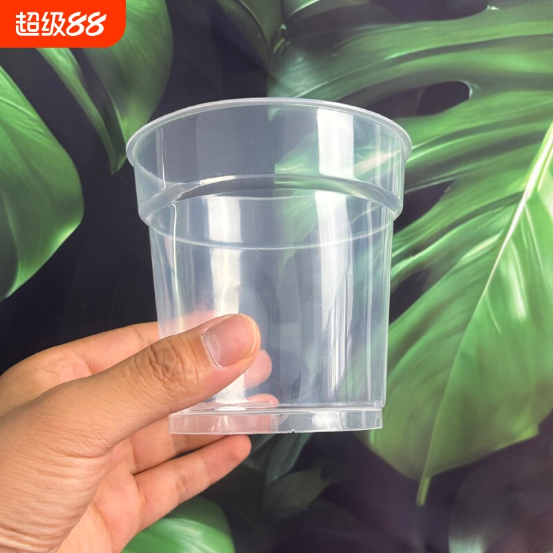 蝴蝶兰花专用石斛透明硬杯营养杯控根盆换盆透气育苗阳台托盘绿植图片