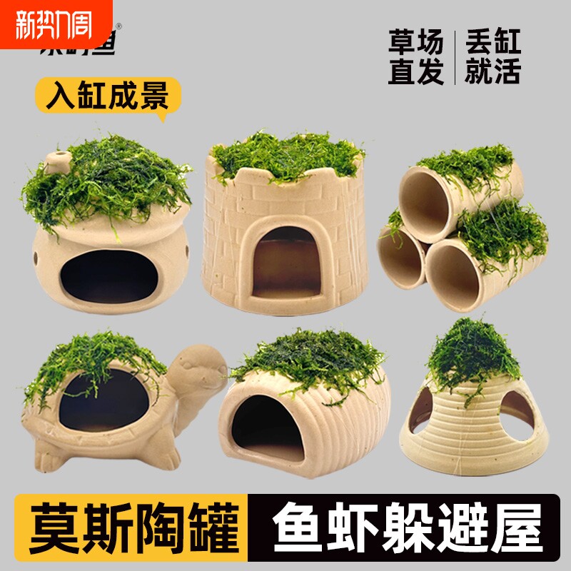 水屿鱼鱼缸水草造景莫斯水草真植物躲避罐陶罐虾屋摆件小鱼躲鱼虾