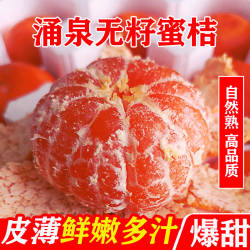 涌泉蜜桔正宗临海桔子新鲜10斤水果当季整箱橘子浙江台州黄岩蜜桔