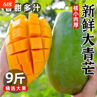 新鲜大青芒果采摘热带水果皮薄肉多核小甜蜜多汁