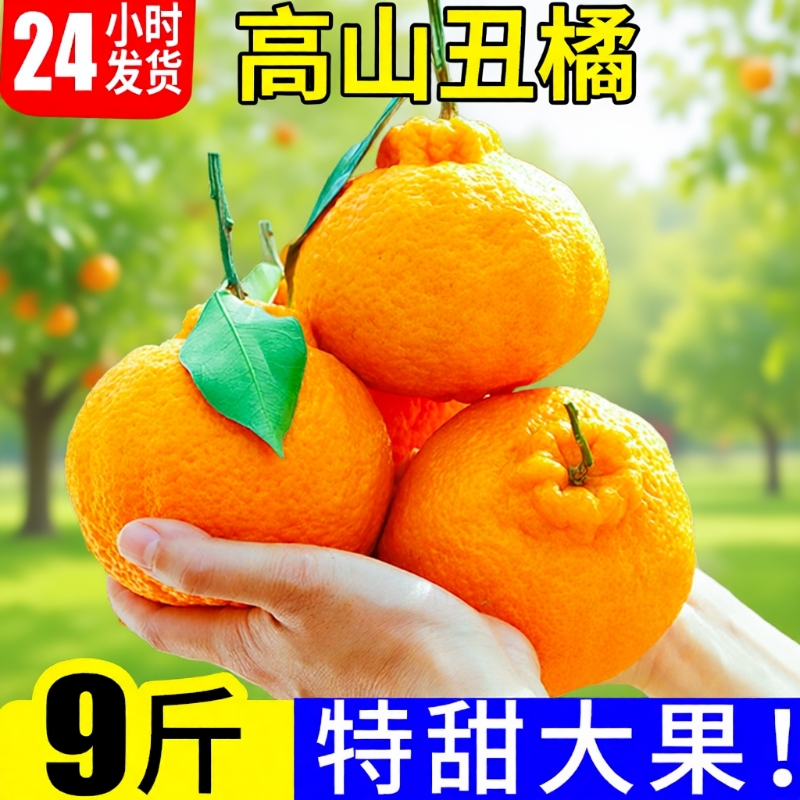 精选高山丑橘特大果5斤整箱