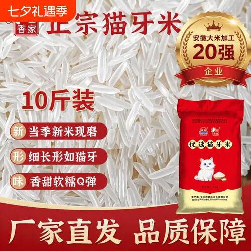 猫牙味长粒香米10斤|千人回购