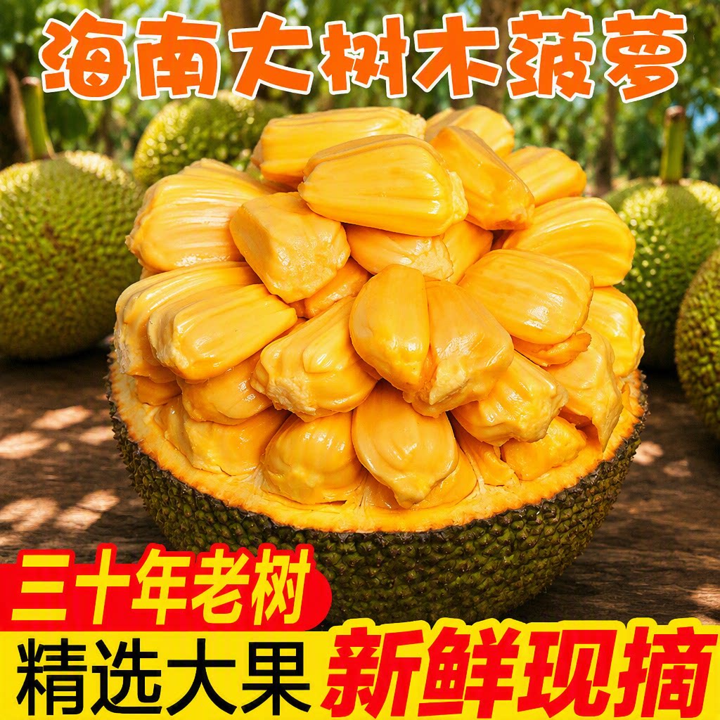 海南菠萝蜜新鲜水果当季现货整箱黄肉木菠萝大果大树果肉热带香甜