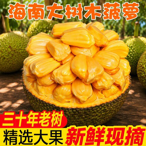 海南菠萝蜜新鲜水果一整个12斤起