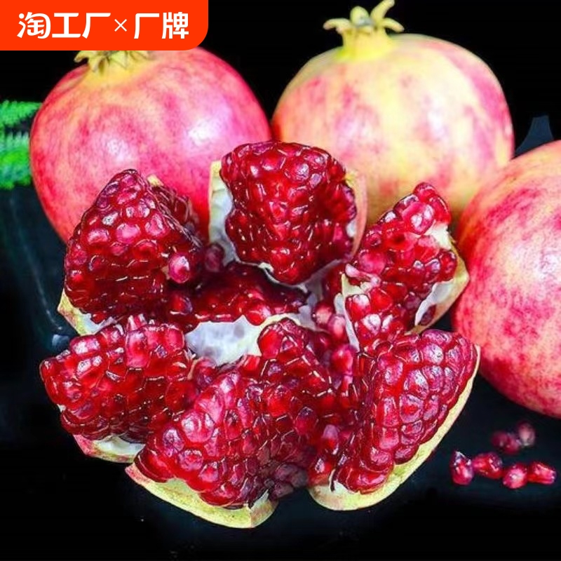 禮盒裝！精品果！軟籽石榴8枚