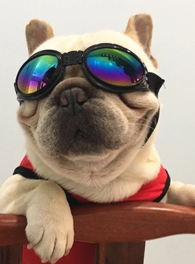 太阳墨镜防风骑车狗狗护目中小型犬眼镜防紫外线圆脸遮阳偏光高清