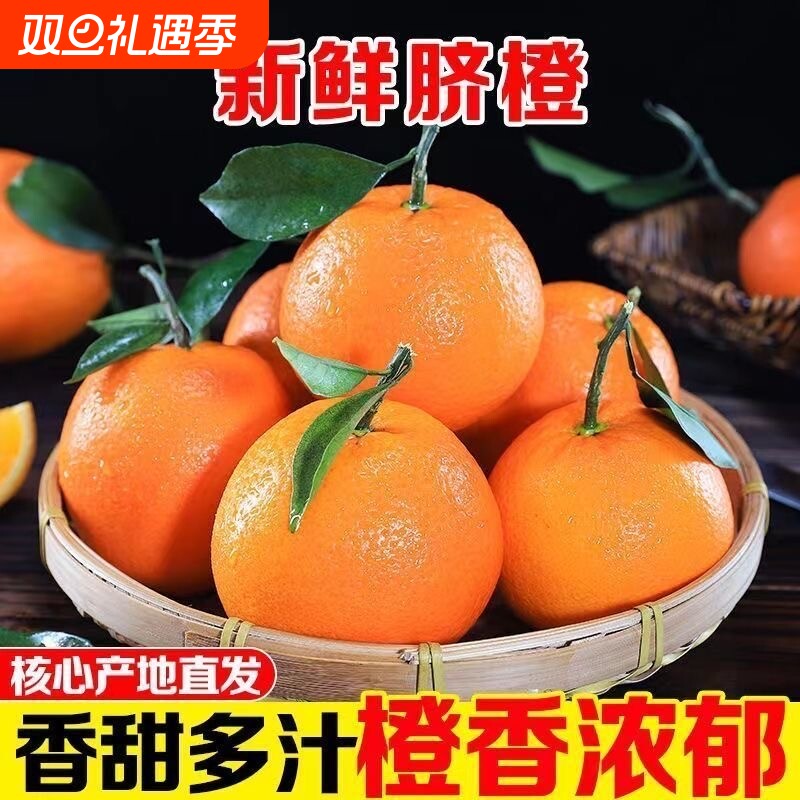 四川高山脐橙当季新鲜橙子水果榨汁手剥橙子现摘现发非赣南冰糖橙