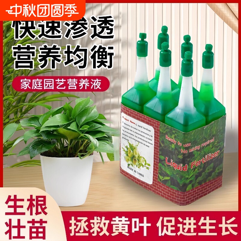 植物营养液通用型盆栽绿萝富贵竹图片