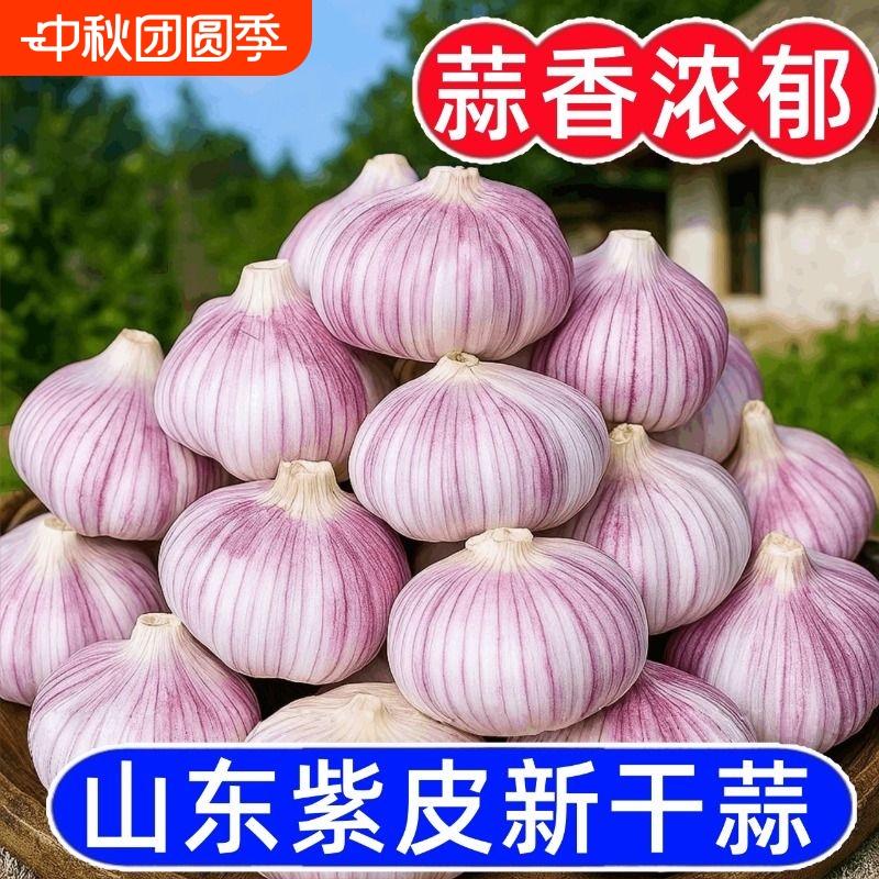 【颗颗甄选】紫白皮大蒜头新鲜干蒜蔬菜红皮多瓣子便宜大蒜