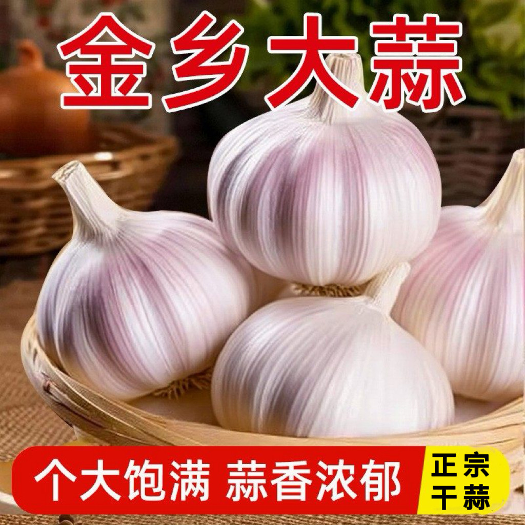 山东干蒜紫皮多瓣紫白皮大蒜大果2025年优质整箱包邮新货便宜批发,水产肉类/新鲜蔬果/熟食,大蒜,淘宝优惠券,粉丝福利购,淘宝优惠卷