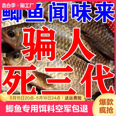 春夏季钓鲫鱼饵料野钓黑坑主攻鲫鱼小药专用打窝料诱食剂溪流通杀