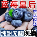 孕妇宝宝辅食一颗冰冻现摘大果 空运云南花香蓝莓鲜果单盒125g当季