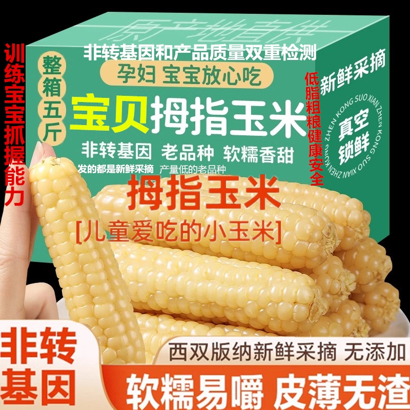 新鲜低脂拇指玉米西双版纳小玉米黏糯甜玉米真空即食儿童宝宝辅食