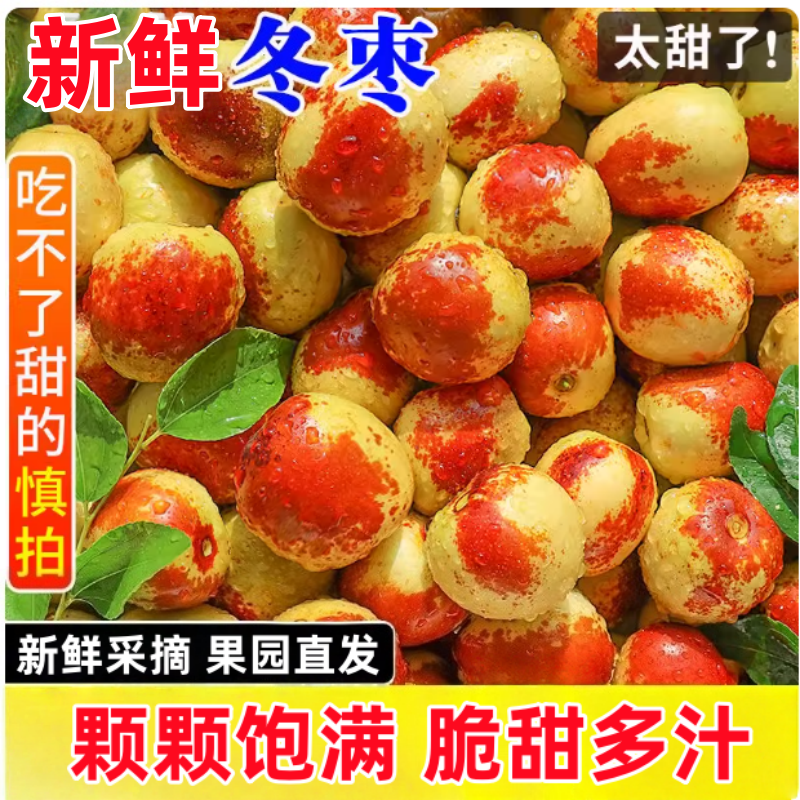 正宗冬枣脆甜新鲜大果应季整箱枣子现摘脆枣冰糖大枣5斤当季水果