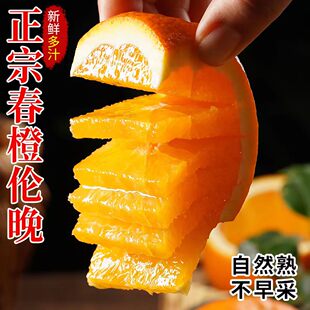 秭归伦晚春橙新鲜水果现摘直发孕妇水果橙子正宗纯甜包邮脐橙整箱