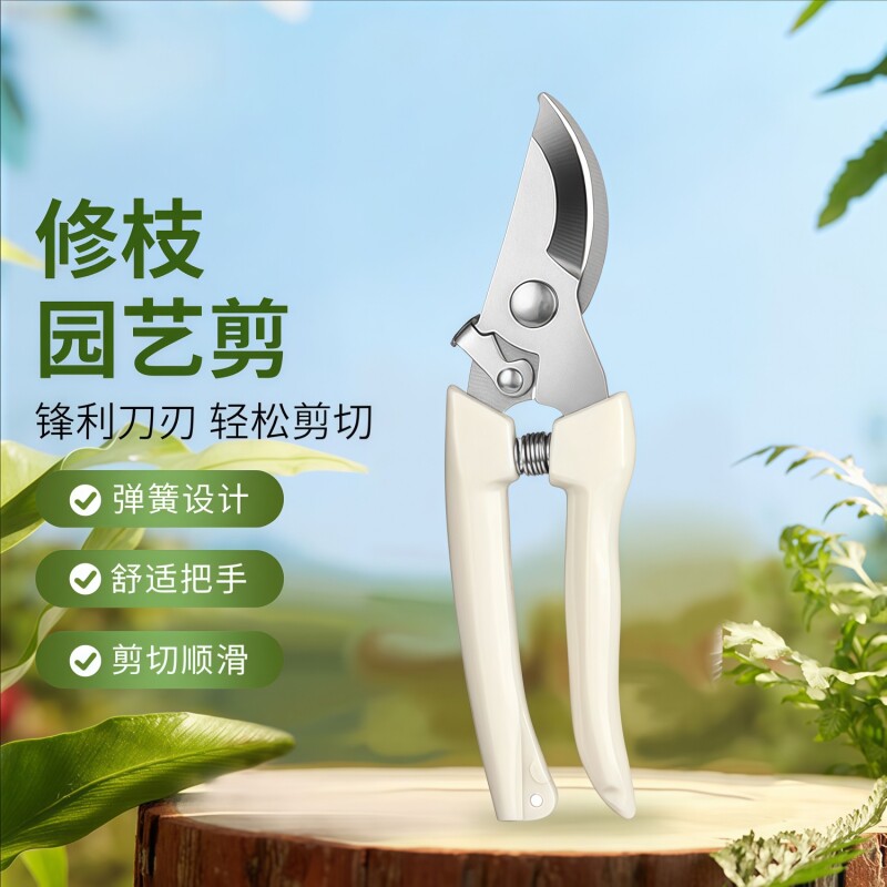 修枝剪刀果树剪园艺剪 盆栽剪花卉工具园林绿植剪刀花艺直头弯头