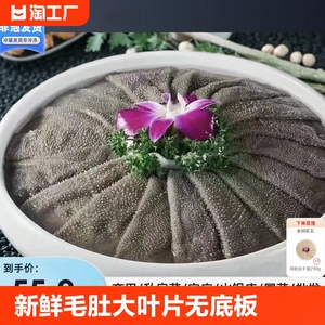 新鲜毛肚大叶片牛百叶无底板屠宰私房菜商用批发牛大肚火锅食材品