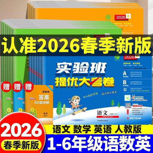 小学实验班提优大考卷