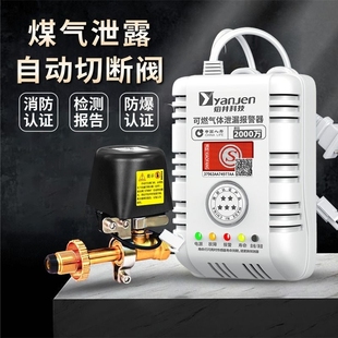 燃气天然气液化气煤气泄漏自动切断阀餐饮饭店商用家用丙烷报警器