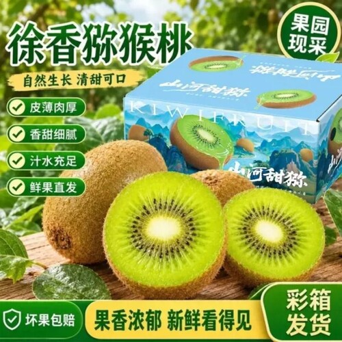 正宗徐香猕猴桃彩箱陕西头茬香甜应季新鲜水果奇异果批发礼盒