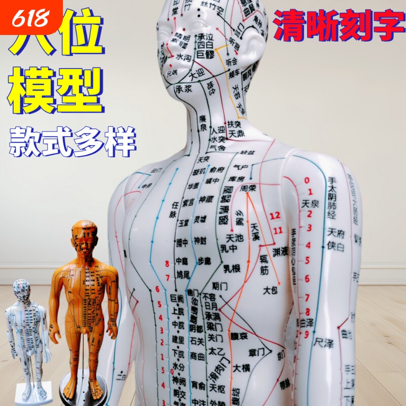 针灸人体模型中医经络小铜人穴位十二全身男女小皮人可练习环保模拟