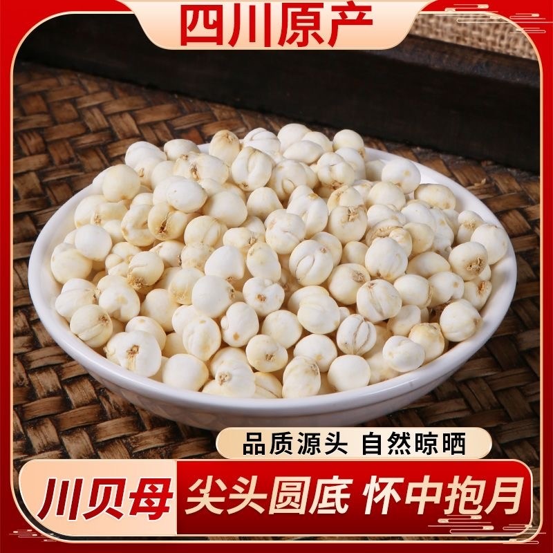 四川贝母川贝粒干中药材无硫阿坝川贝粉止咳原味百合虎乳菌炖梨汤