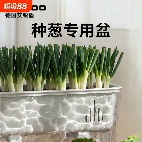 家用种葱自吸水花盆长方形盆种菜盆阳台小葱种植盆蔬菜专用盆绿植